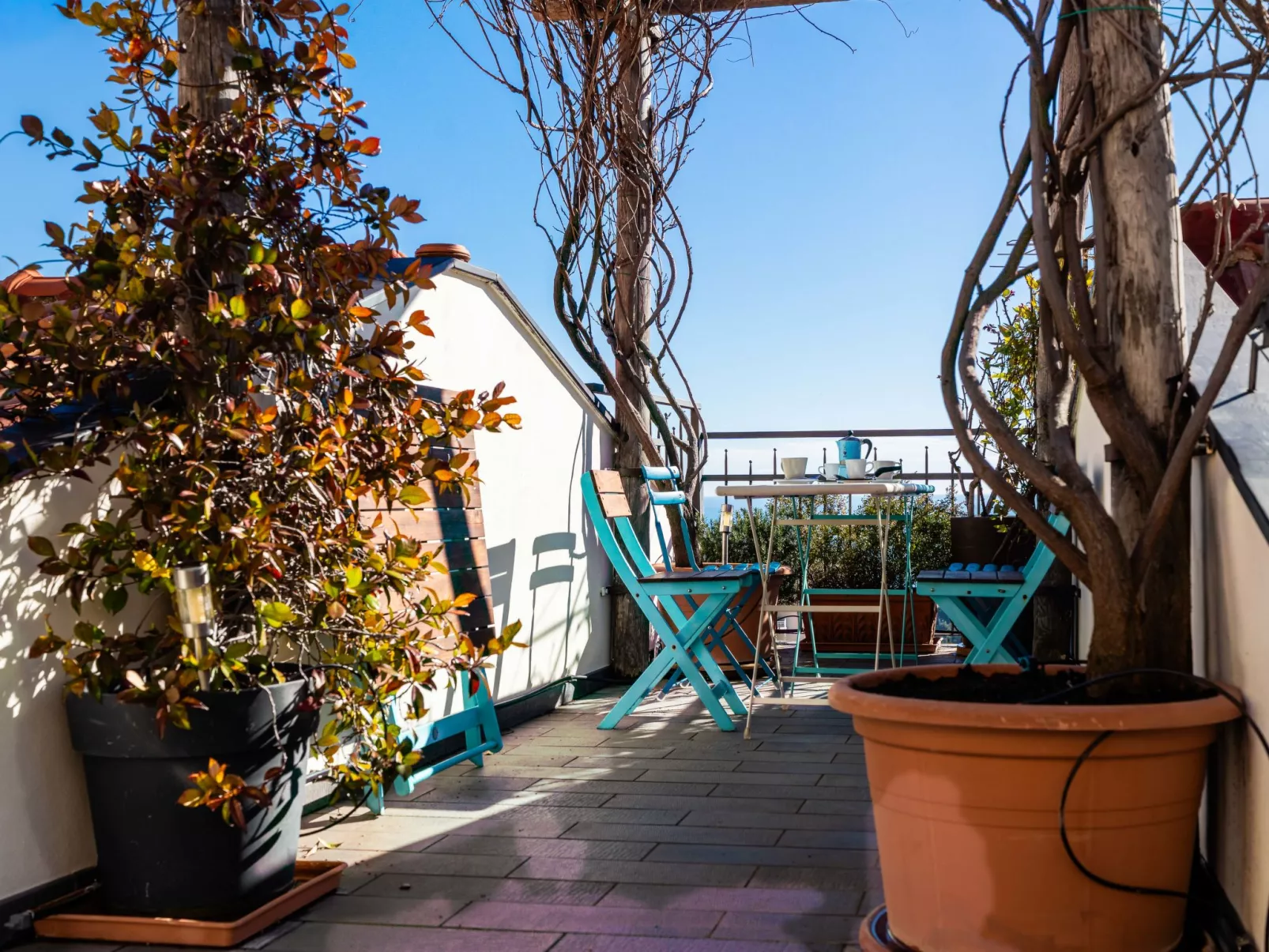 Terrazza con glicine - Buiten