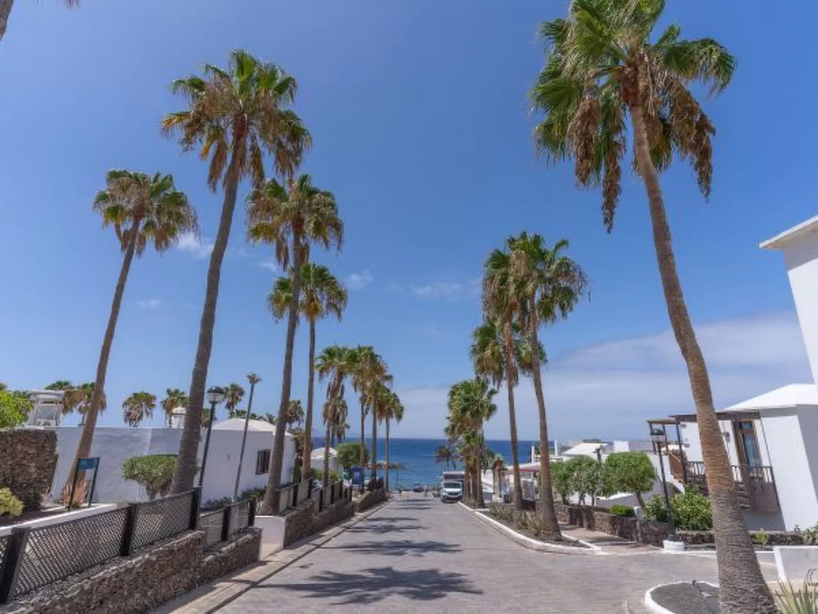 PLAYA FLAMINGO C - Image-tags.info