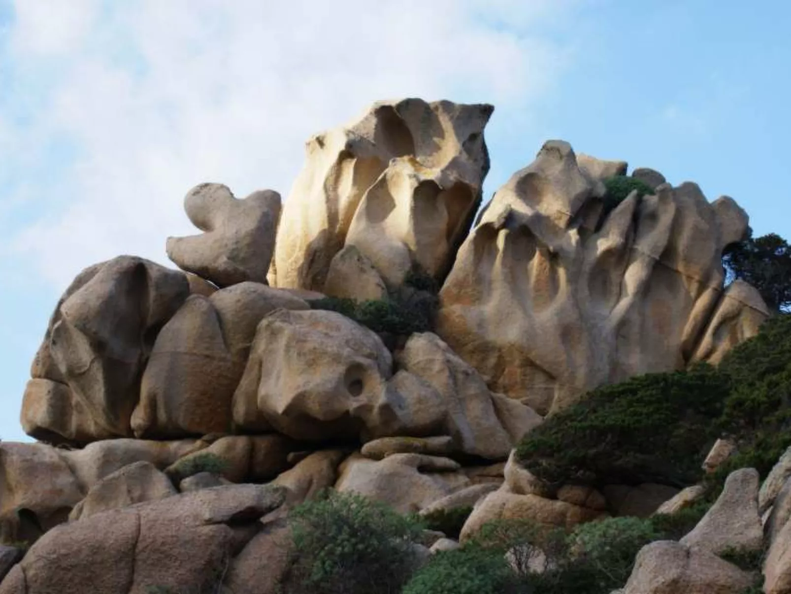 URLAUB AM MEER AUF DEM BAUERNHOF - Buiten