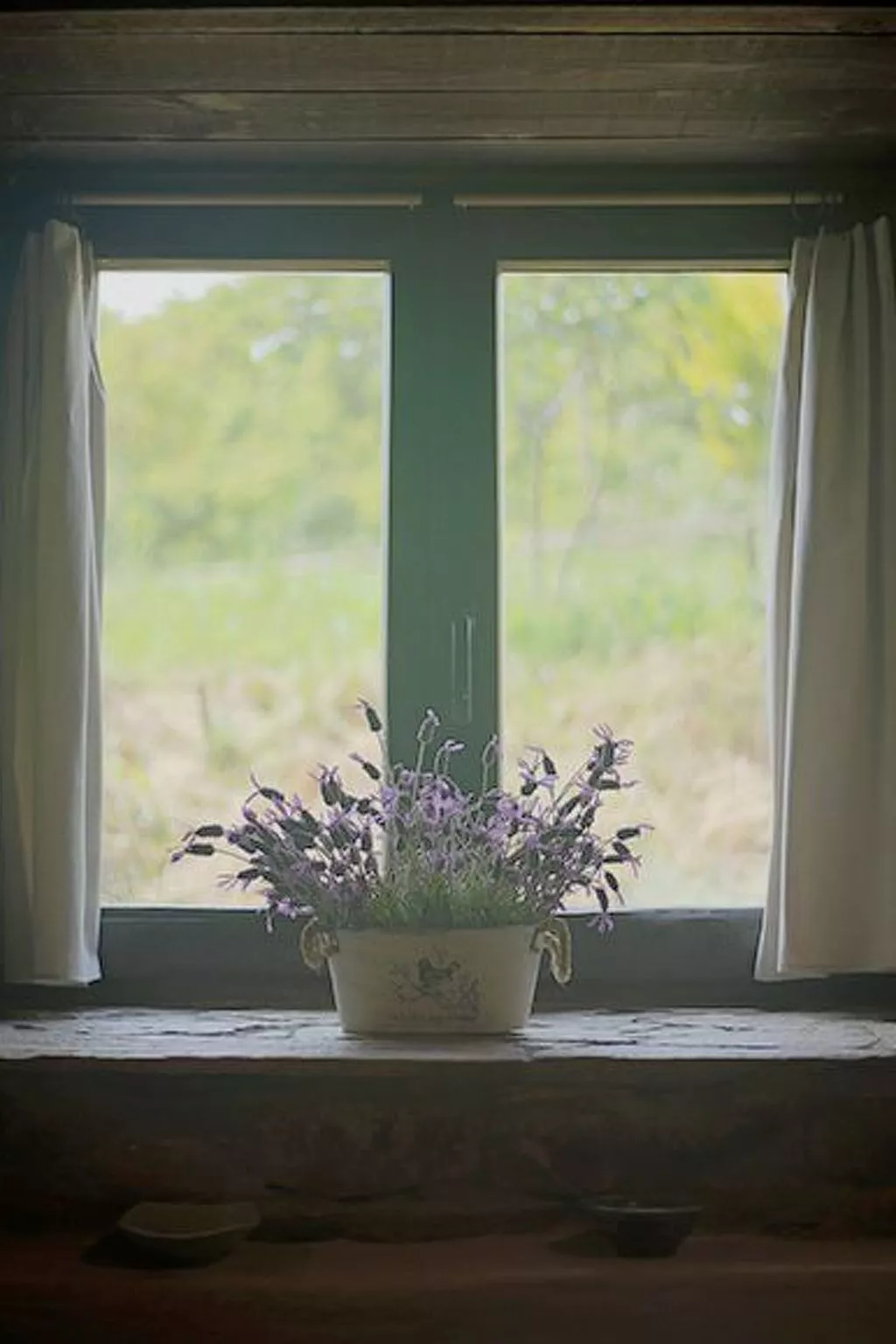 Rural Médulas Haus 1. für 4 PAX belegt. - Image-tags.info