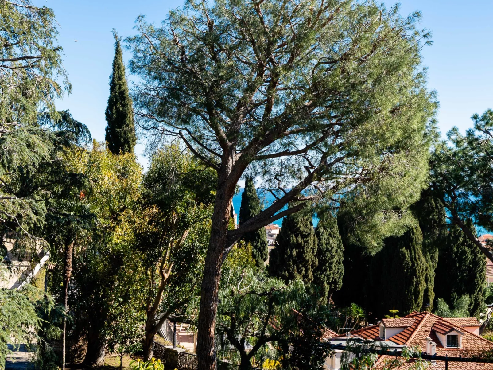 Orizzonte Blu Alassio - Buiten