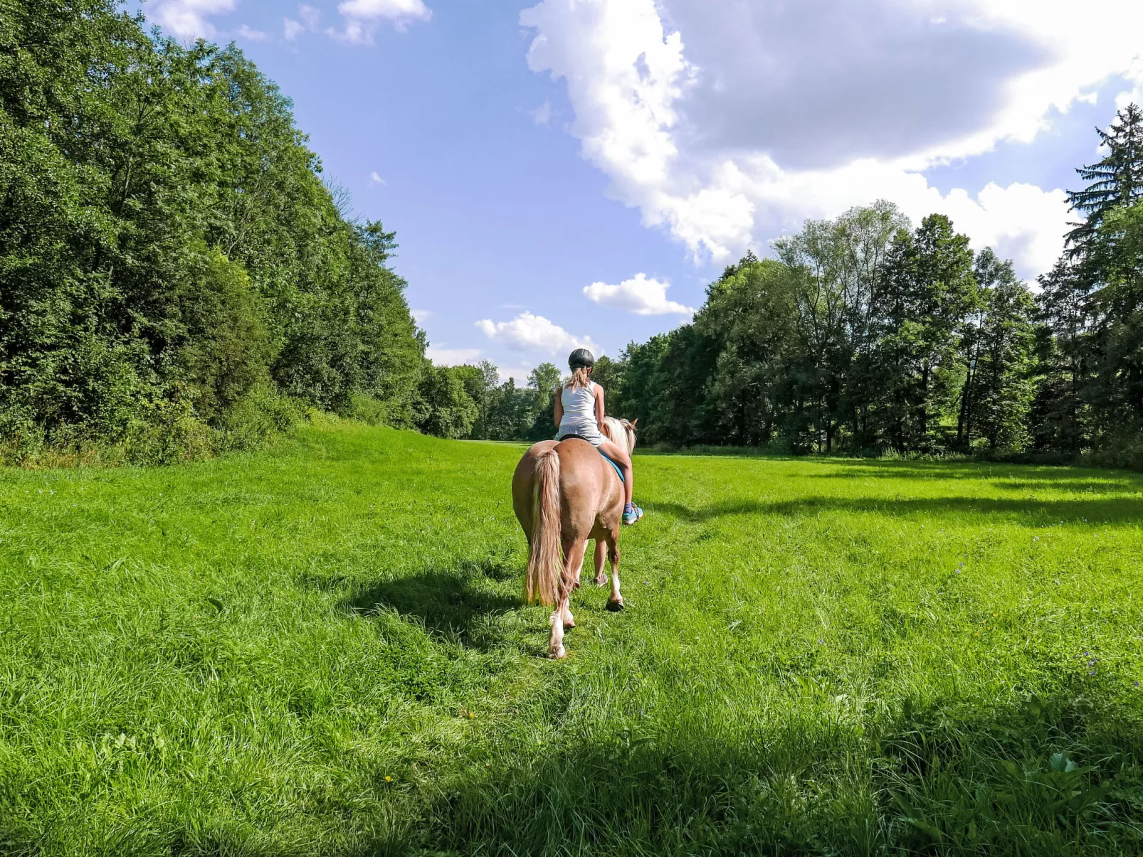 Green Valley Park Stárkov 9 - Buiten