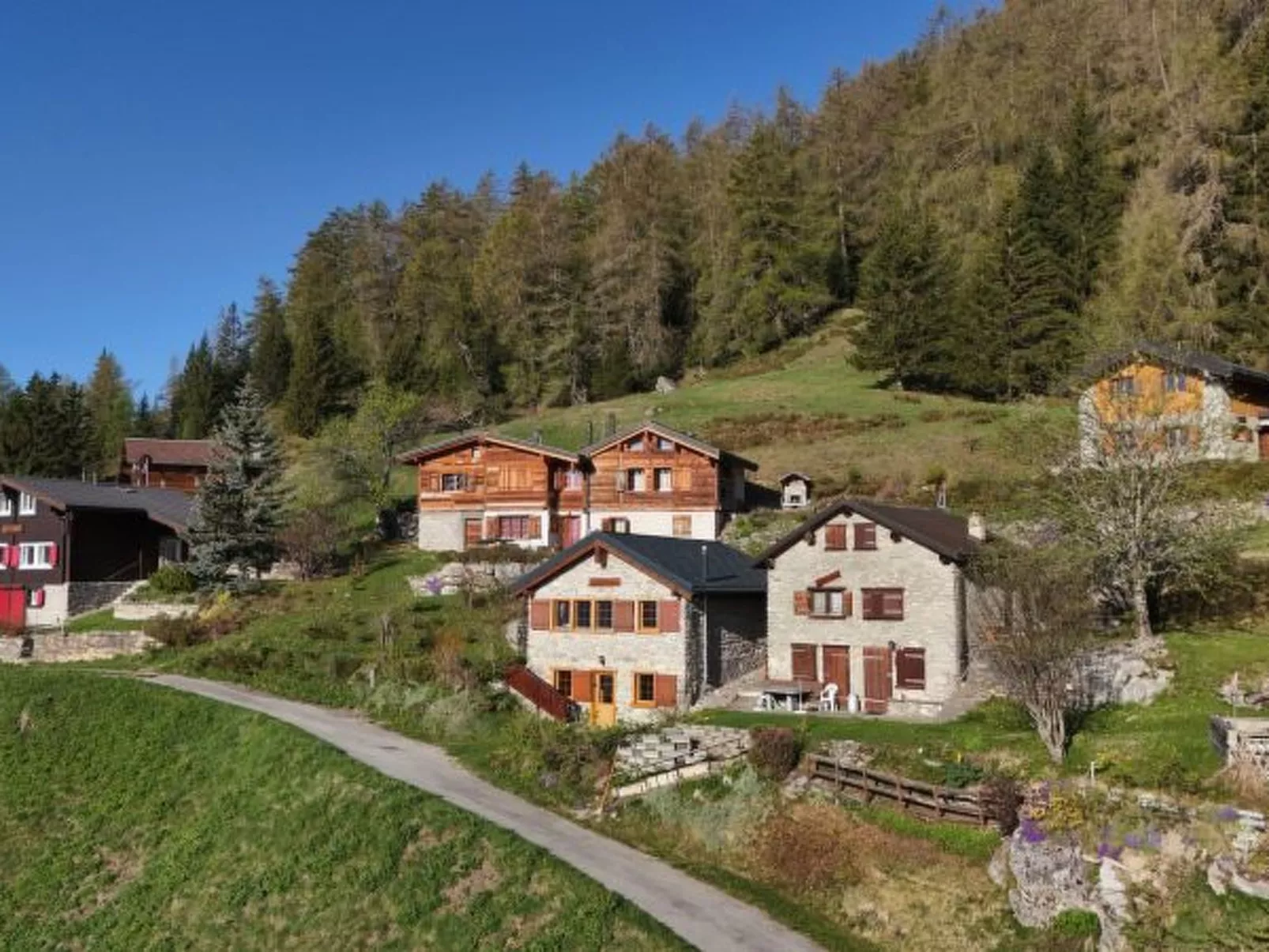 Tiny House facing the Alps - Ski in and out - Buiten