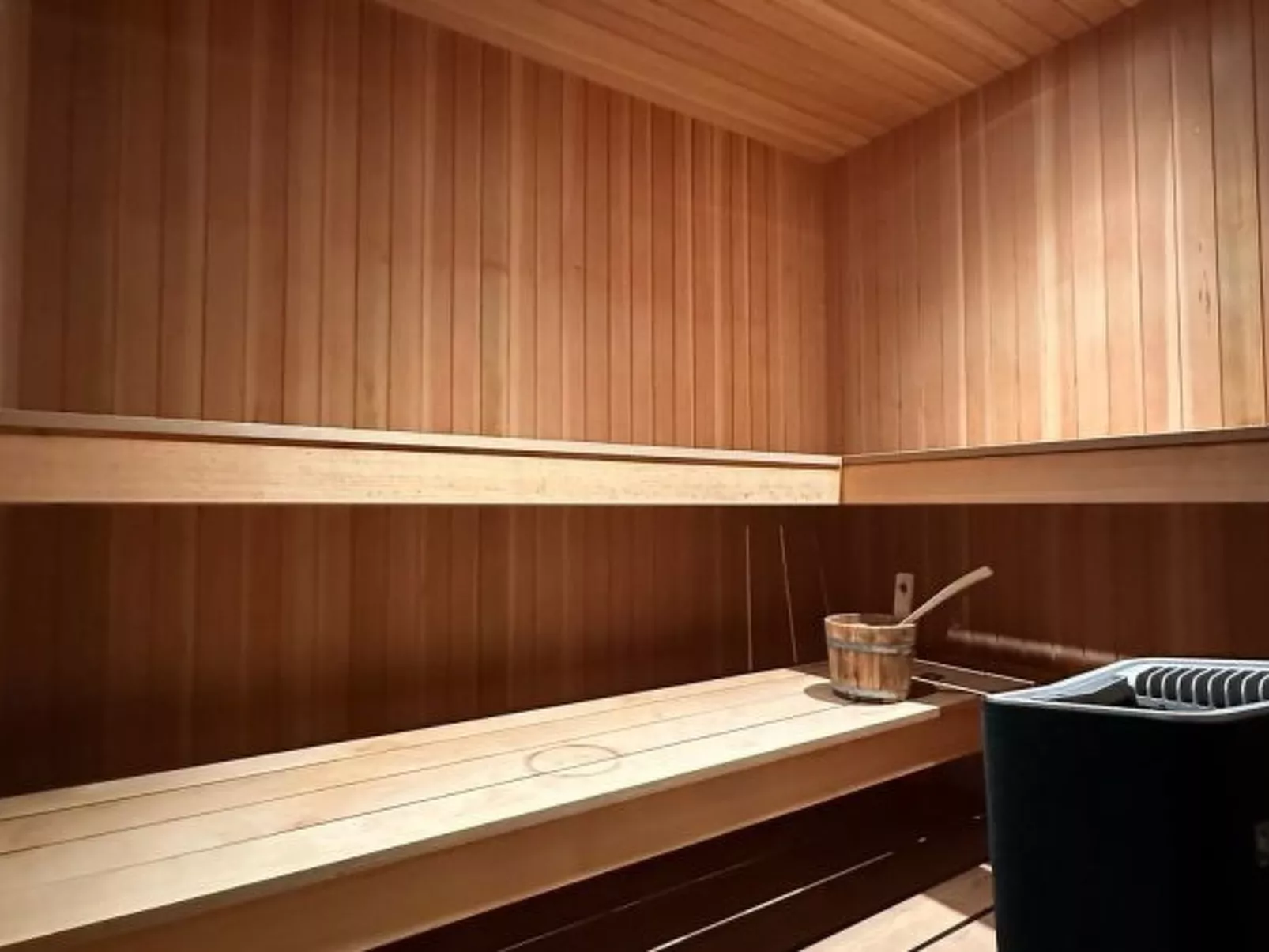 Les Granges de Sarreyer - 10 mns from Verbier - Sw - Binnen