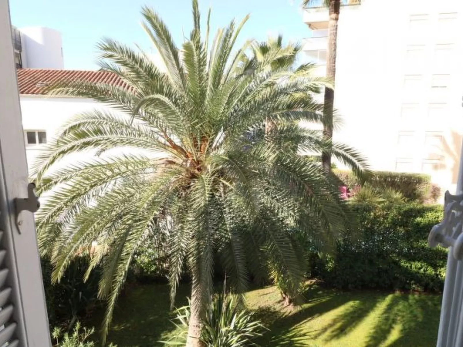 Beautiful 3 bedroom Carlton Canada 403 - Image-tags.info