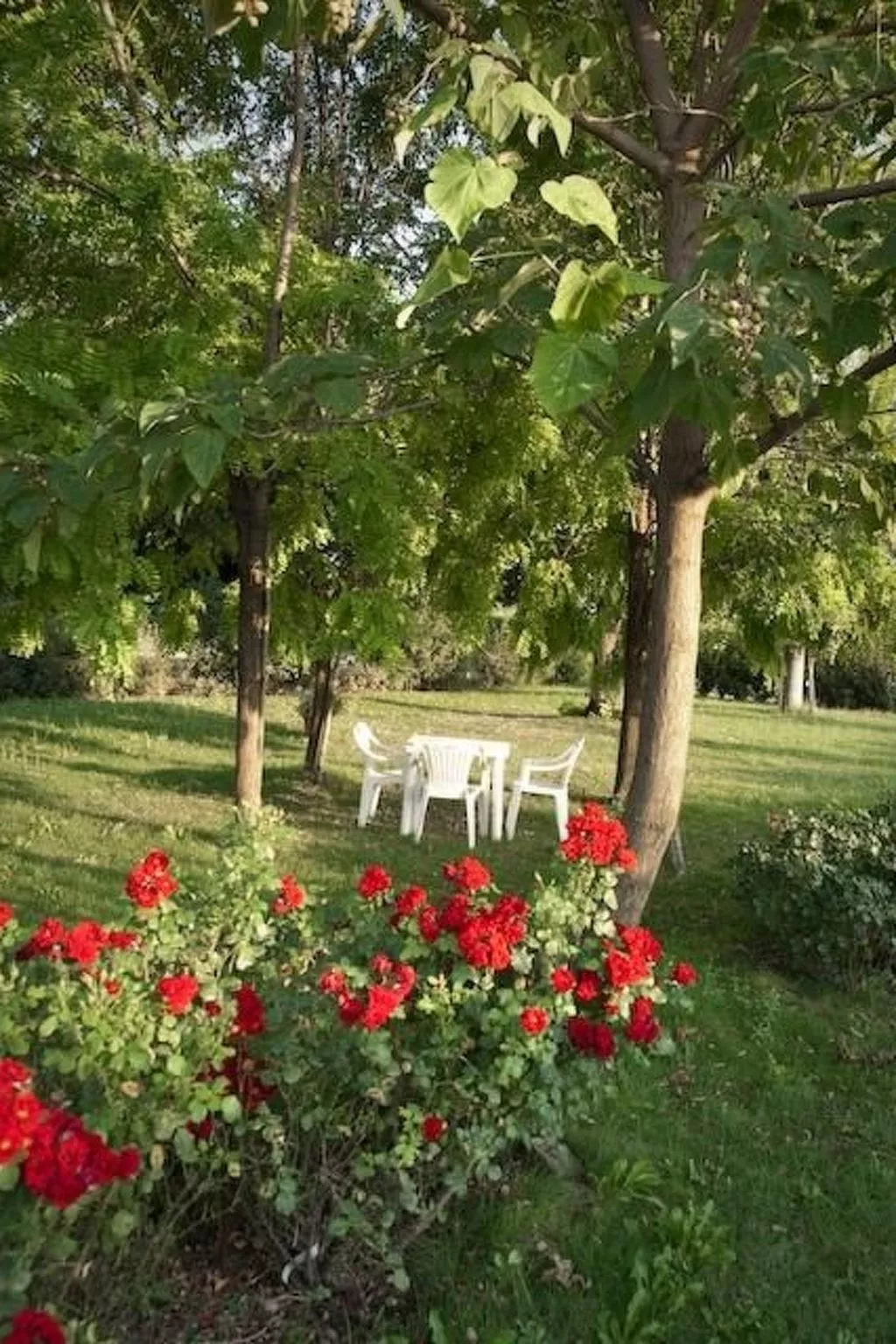 Wohnung "Mimosa" auf einem Bauernhof - Image-tags.info