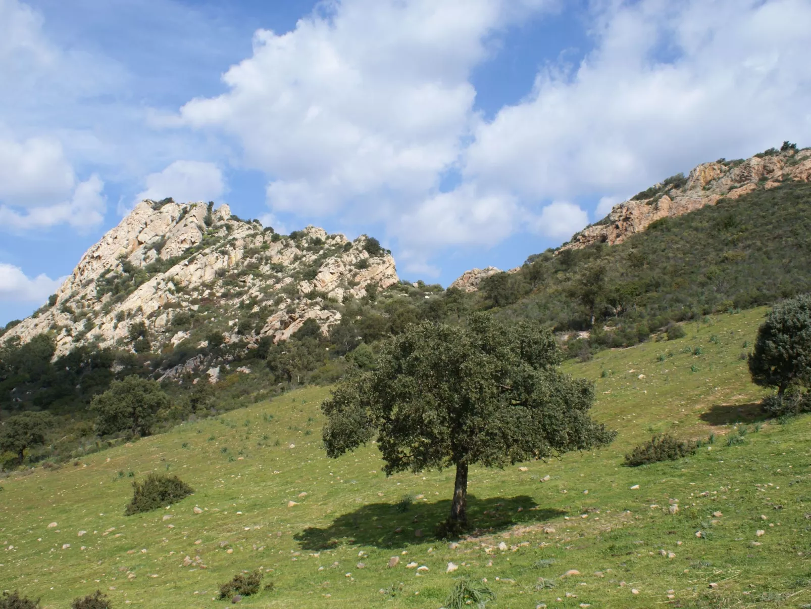 Anwesen "Margherita Suite - Image-tags.info