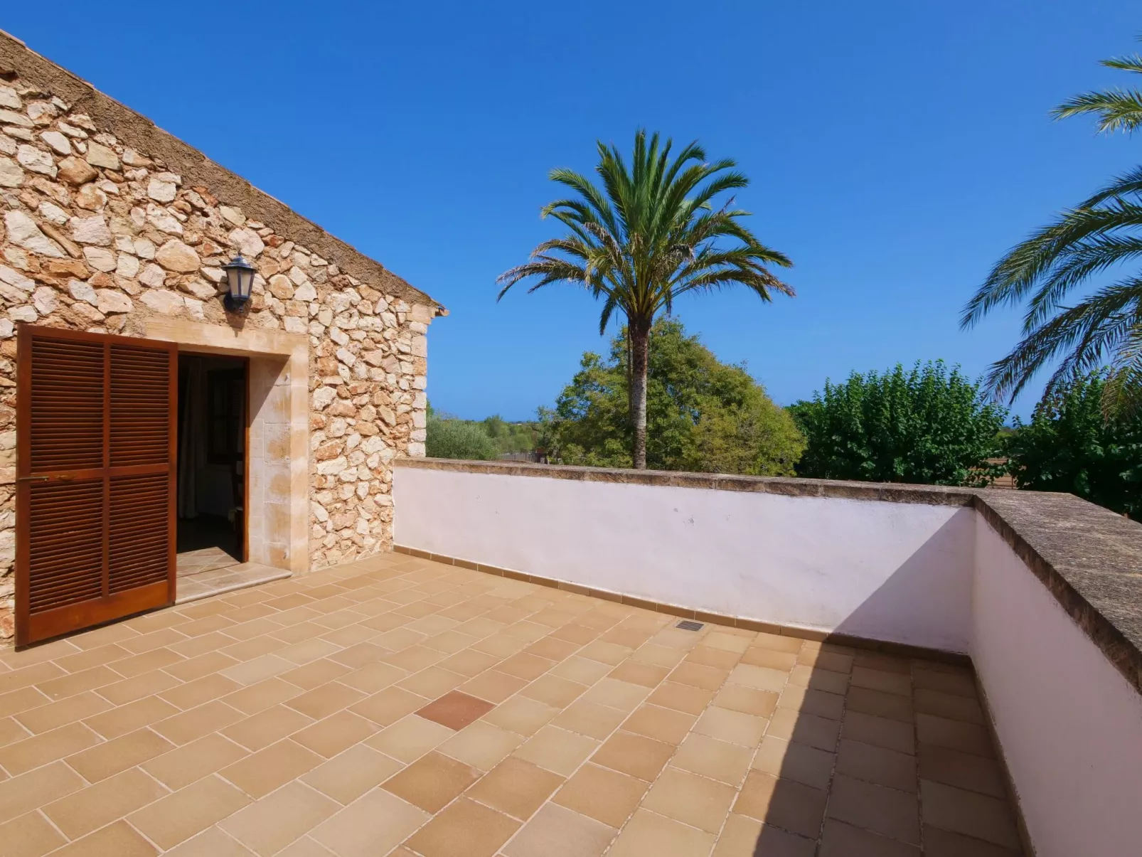 Finca Tort - Buiten