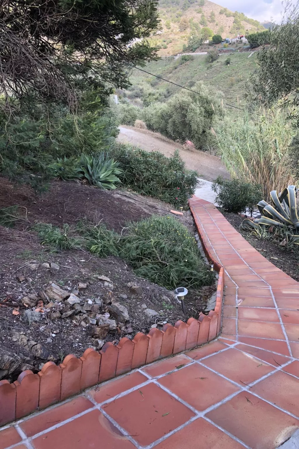 Finca "La Estrella de Cómpeta". - Buiten