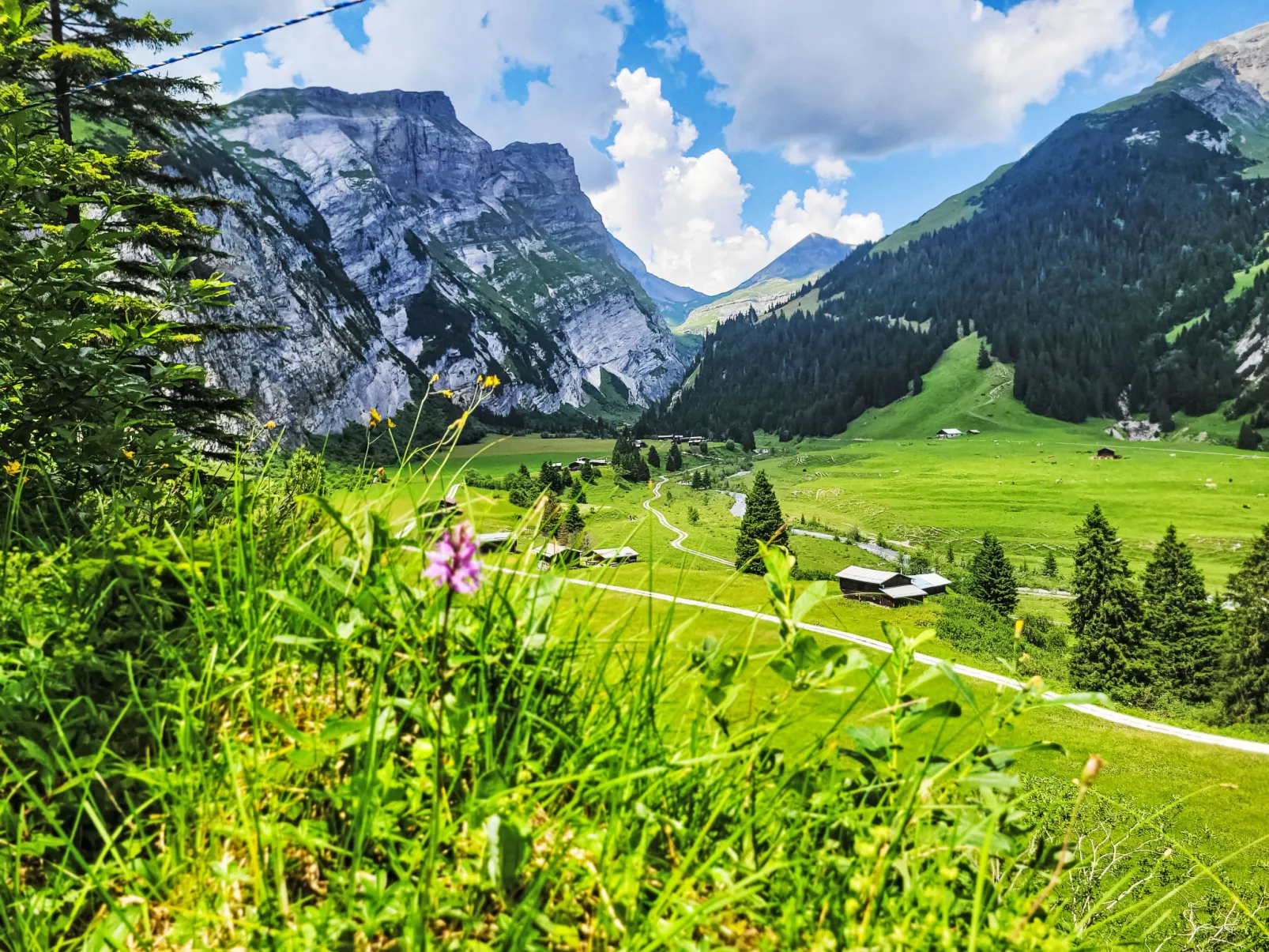 Chalet mit Bergsicht - Buiten