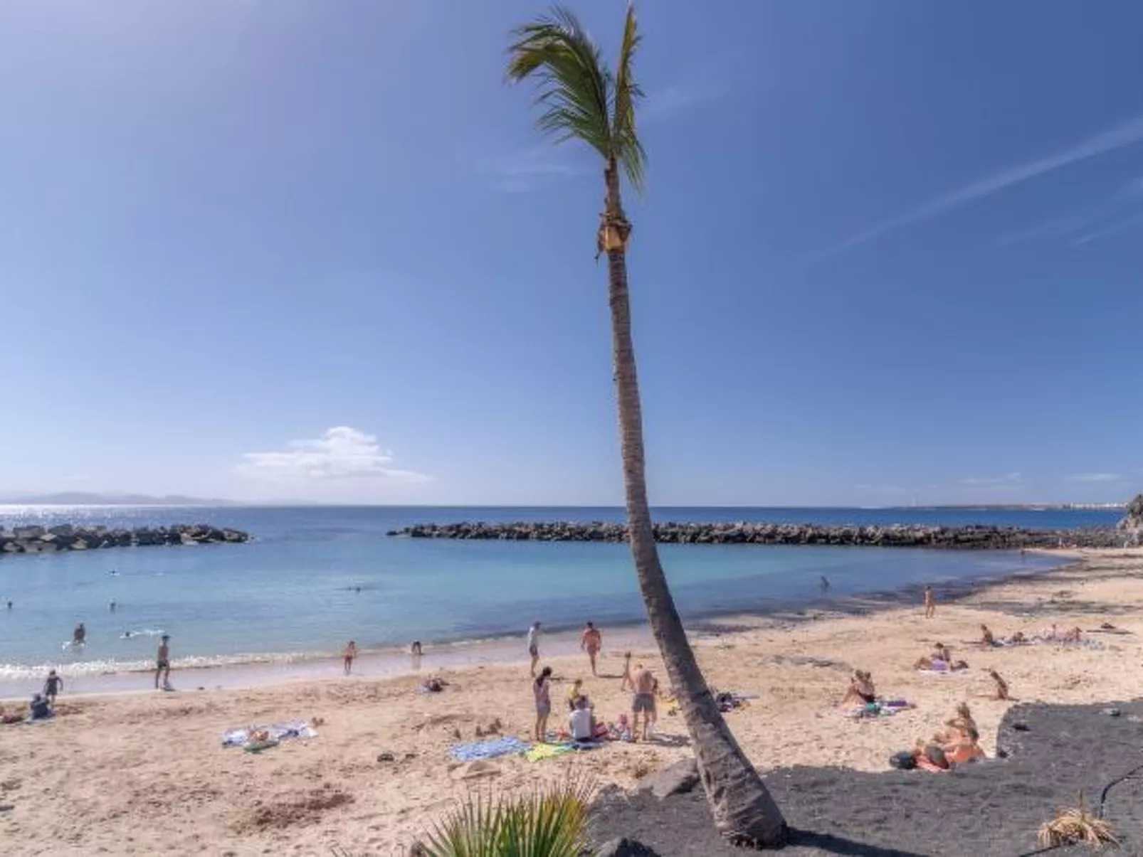 PLAYA FLAMINGO C - Image-tags.info