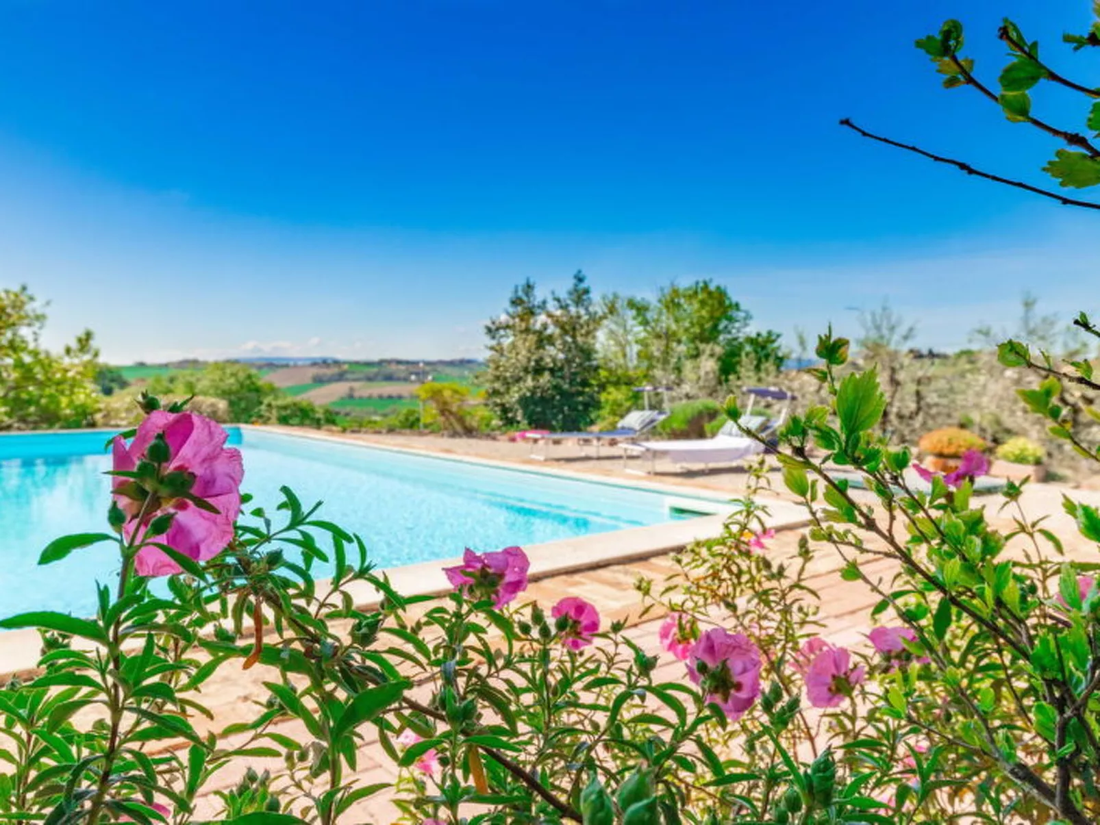 Casa Bellavista - Buiten