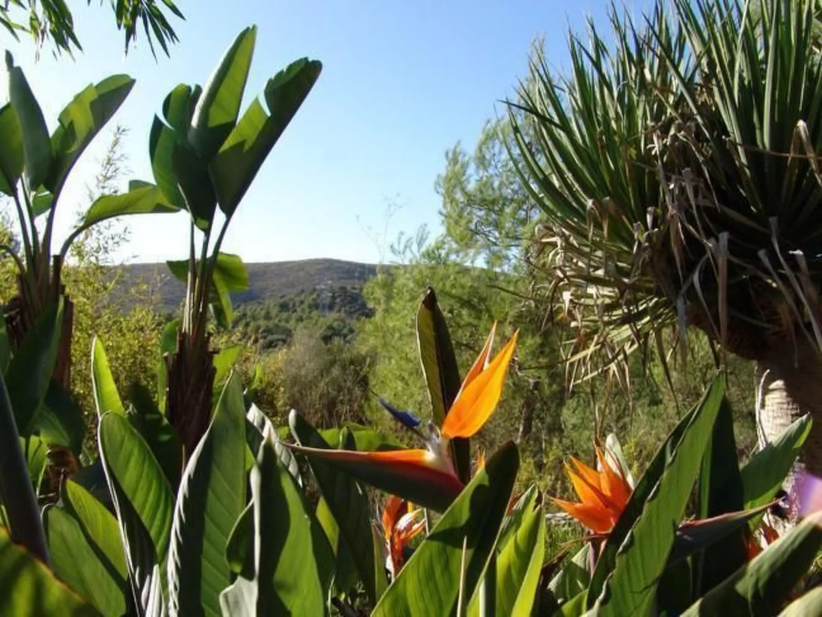 Kleine Ferienwohnung mit Gemeinschaftspool - Image-tags.info