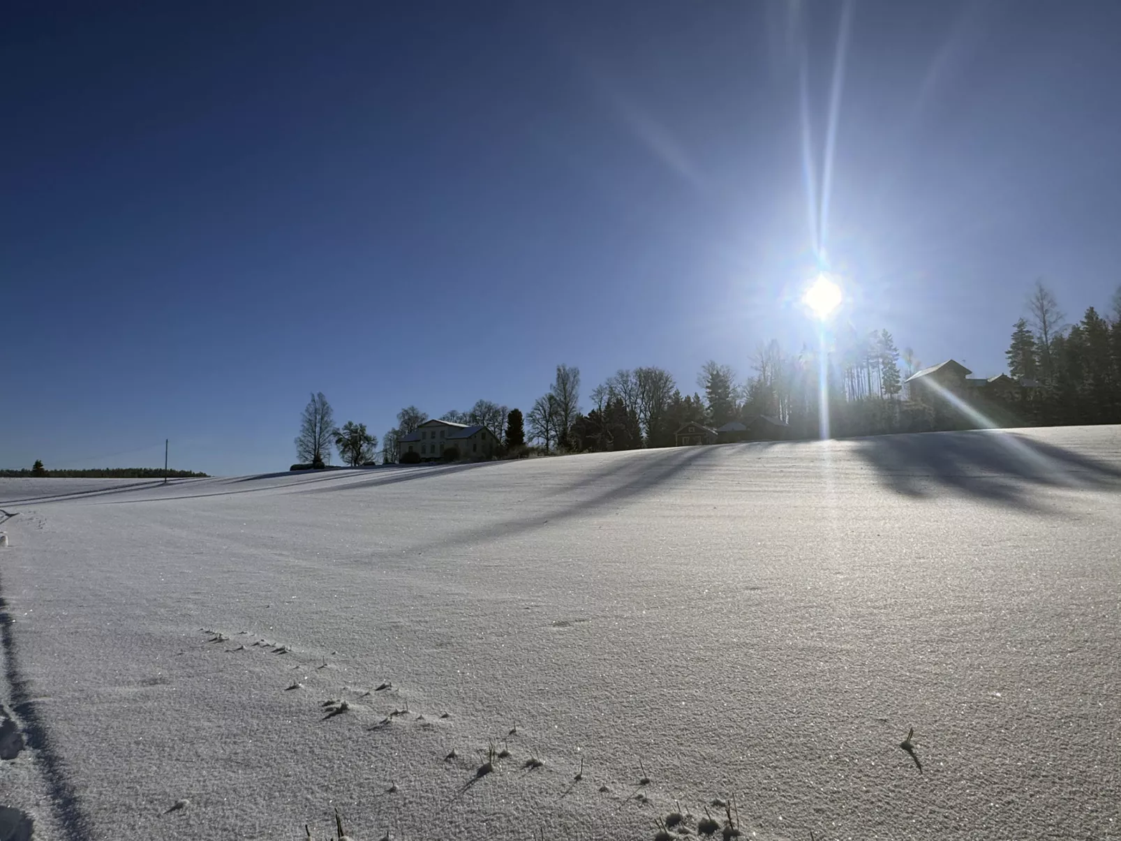 Peltosirkku - Binnen