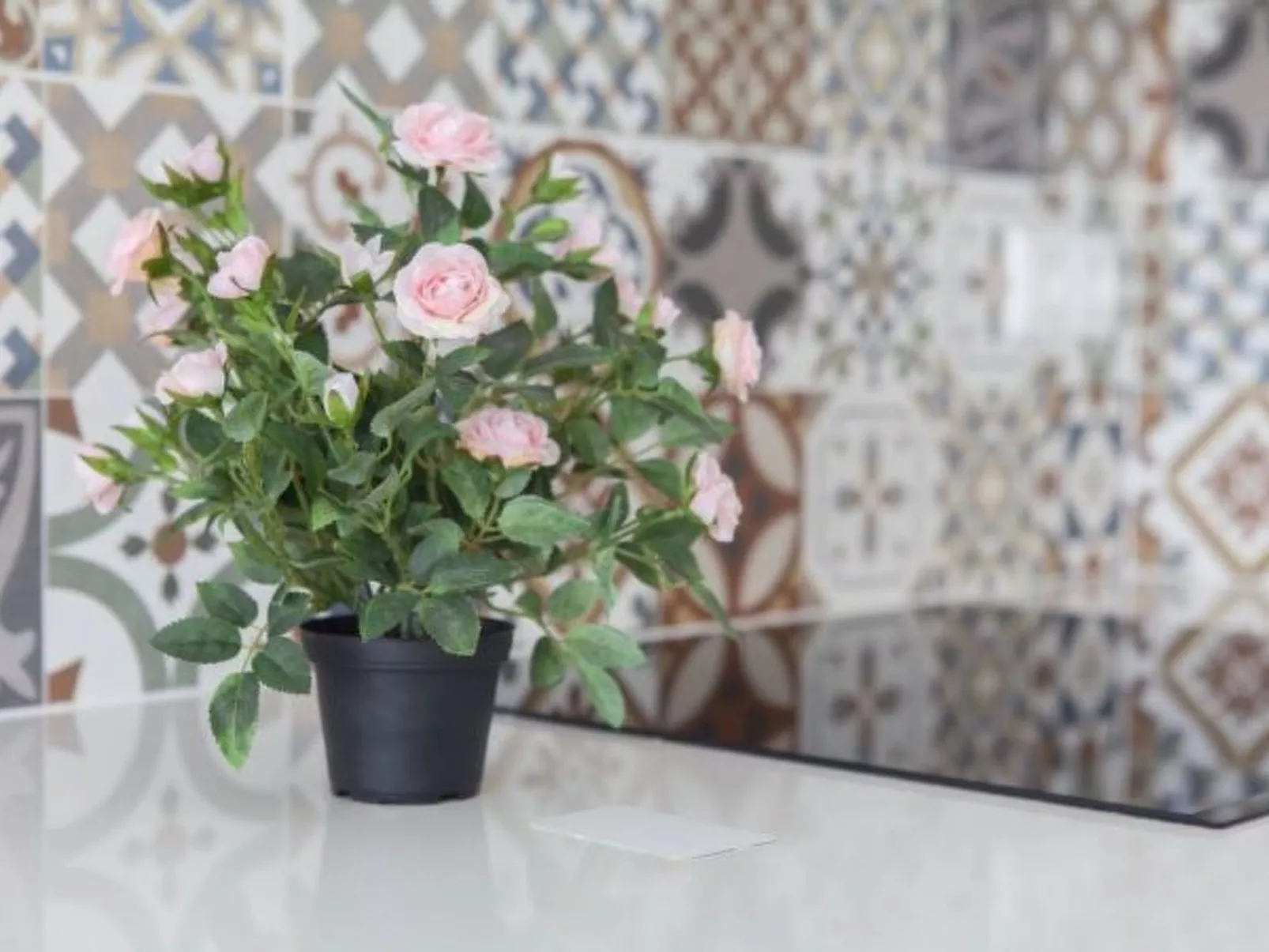 ESTUDIO PLAYA POSTIGUET - Binnen