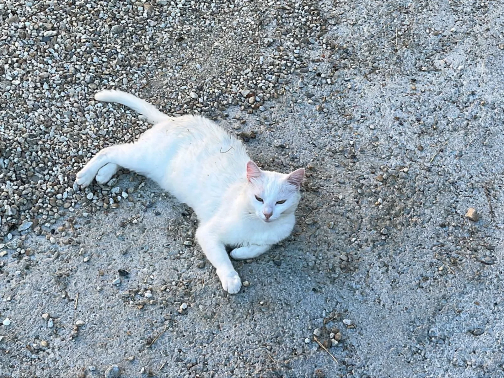 Orchideen-Zimmer - Buiten