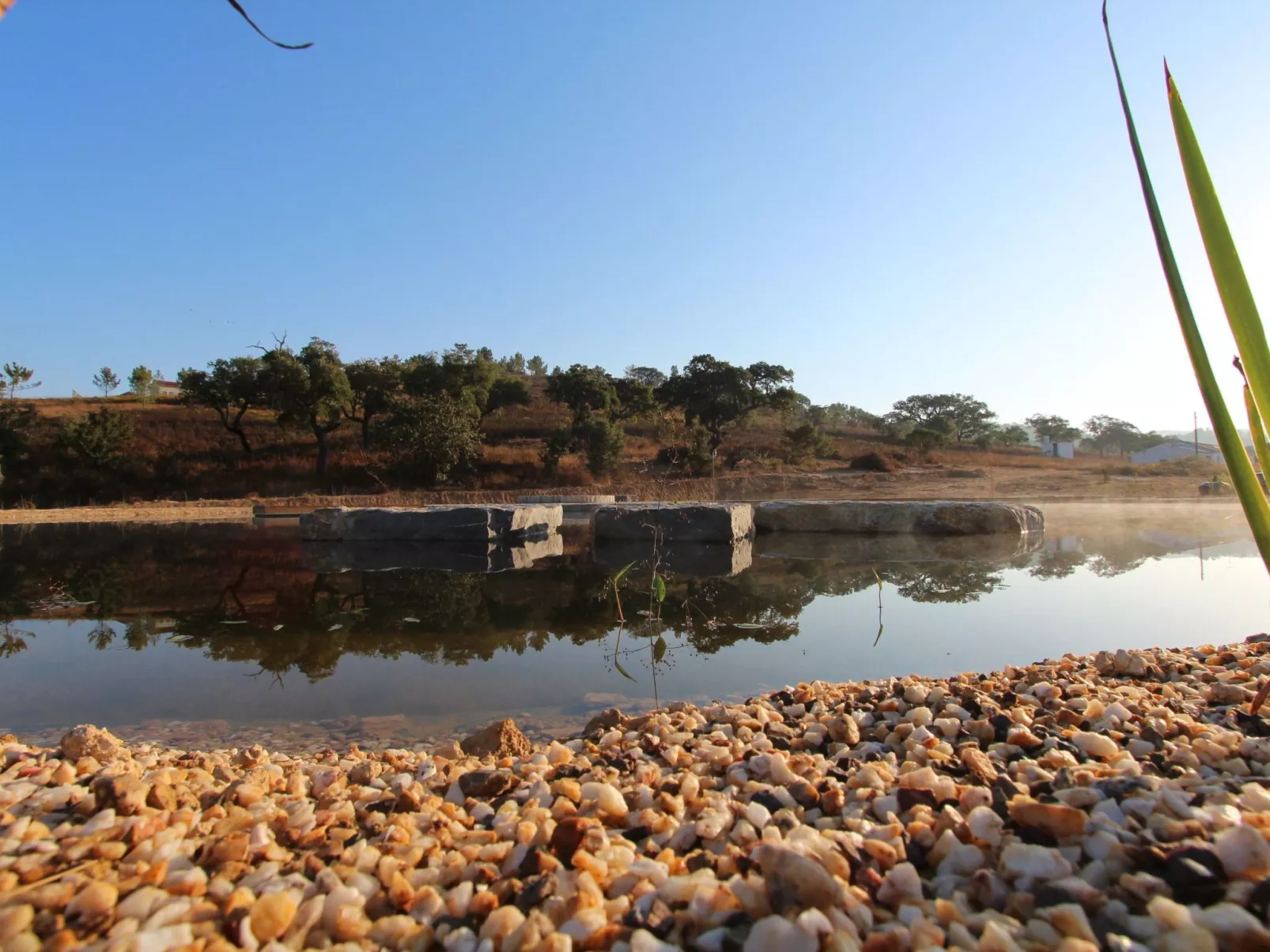 "The Natural Elements" - Buiten