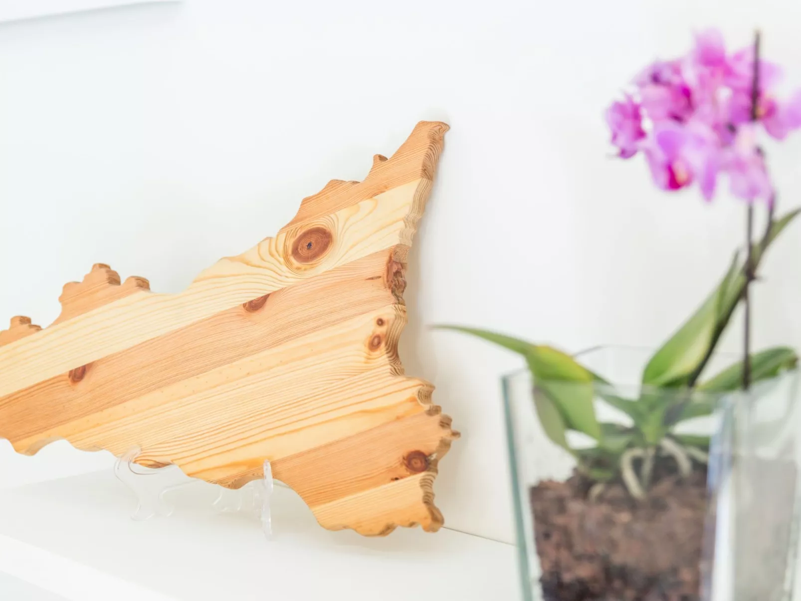 Aus der Tradition geboren, aber in die Innovation eingetaucht - Binnen