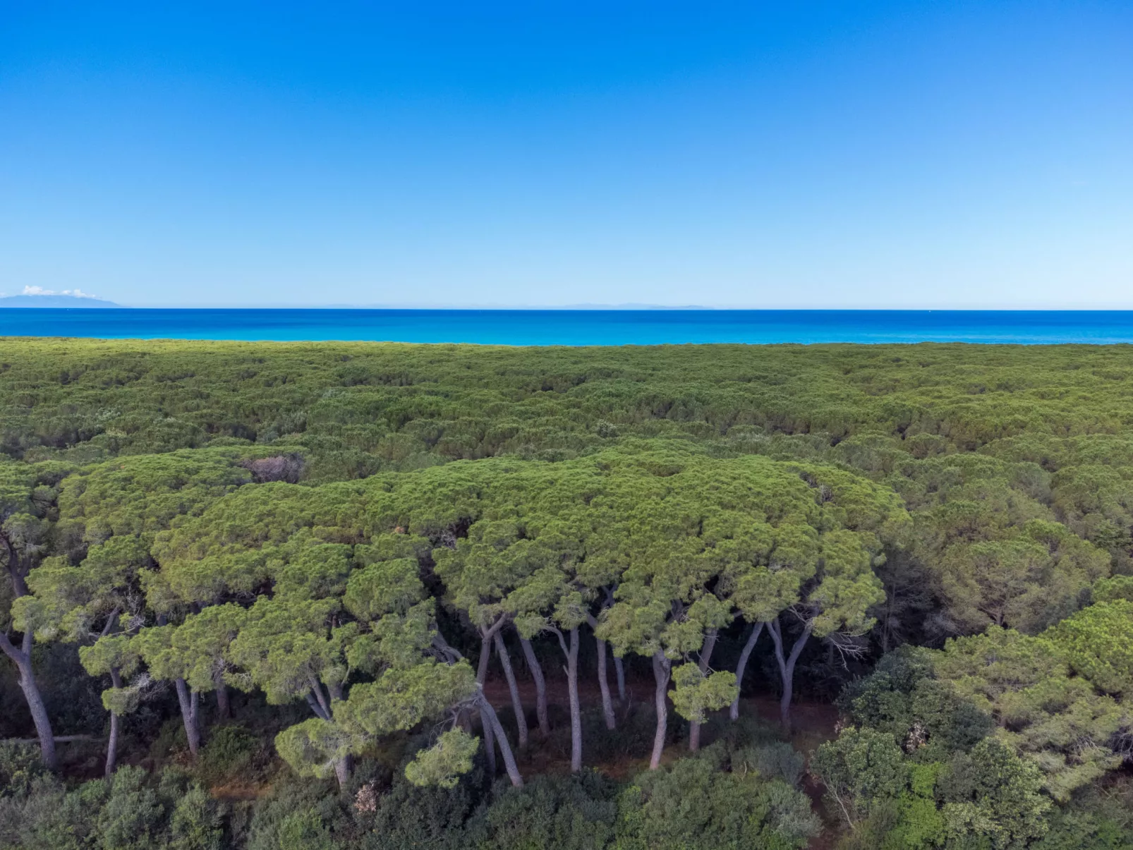 Cinquantina - Omgeving