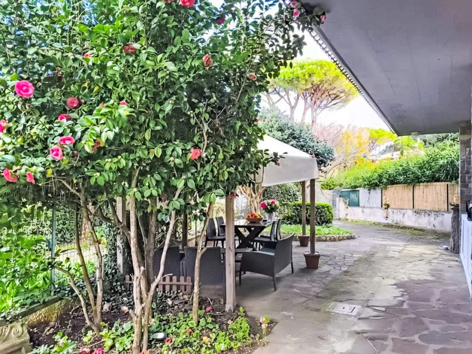 Atelier Vella - Buiten