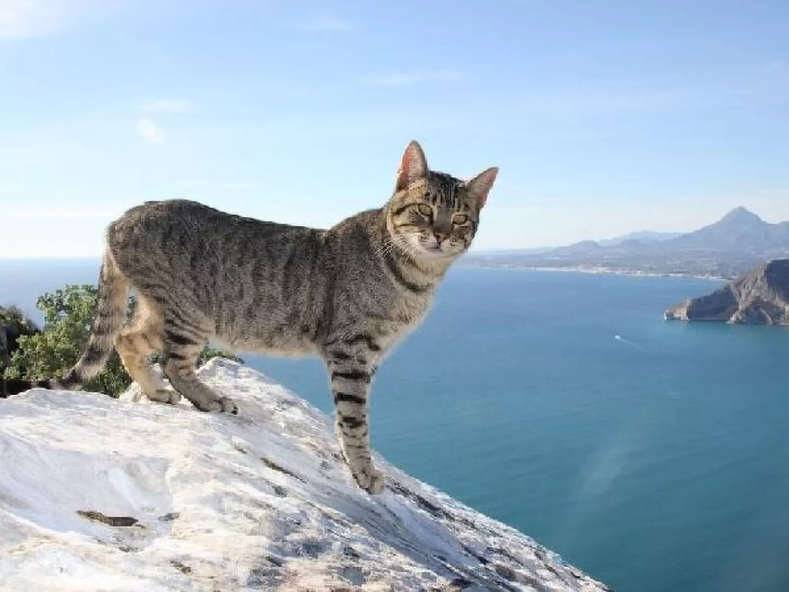 Villa Corina - PlusHolidays - Image-tags.info