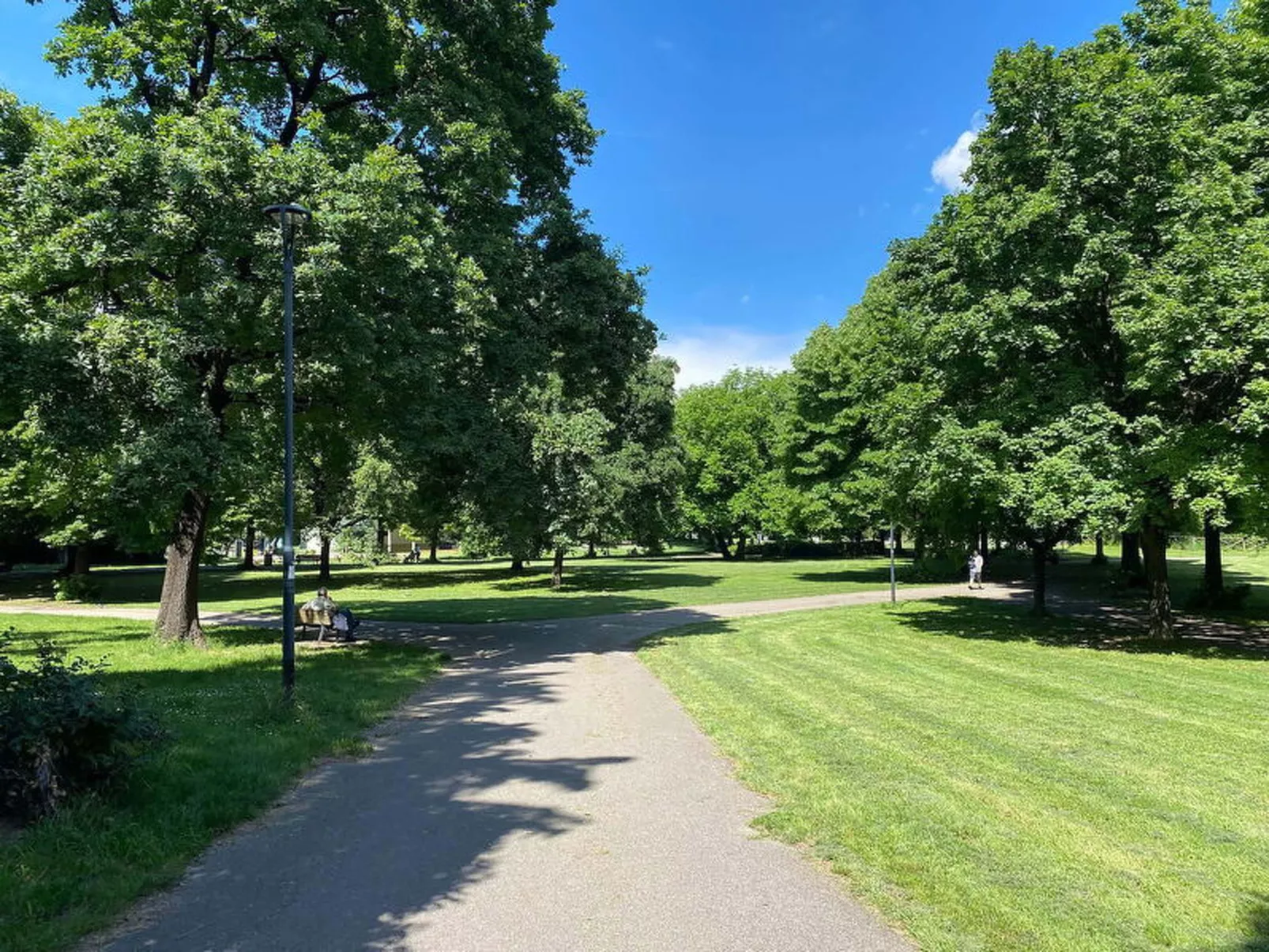 Suite Vogel - Buiten