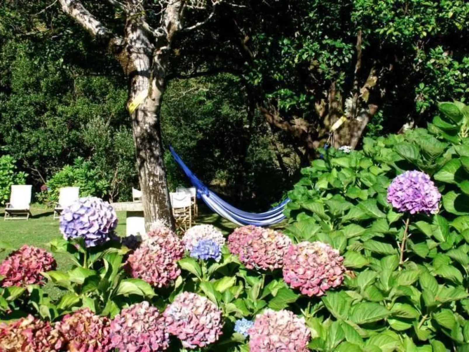 NATUR IN IHRER REINSTEN FORM - Image-tags.info