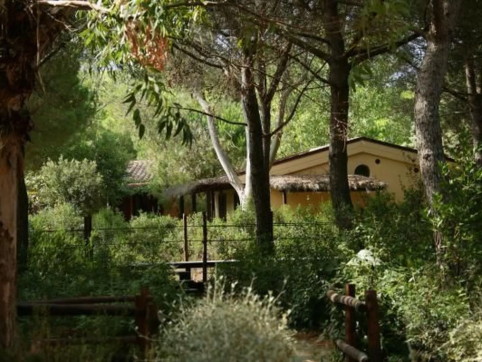 Safari-Lodge-Zelt in Castiglione della Pescaia - Image-tags.info