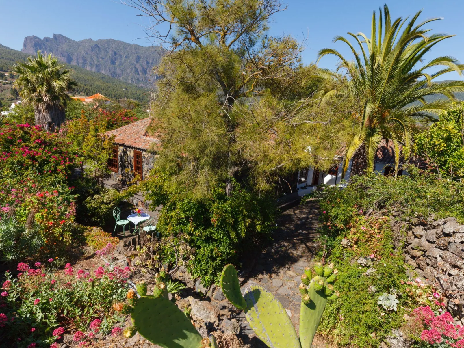 Las Tortugas - Buiten