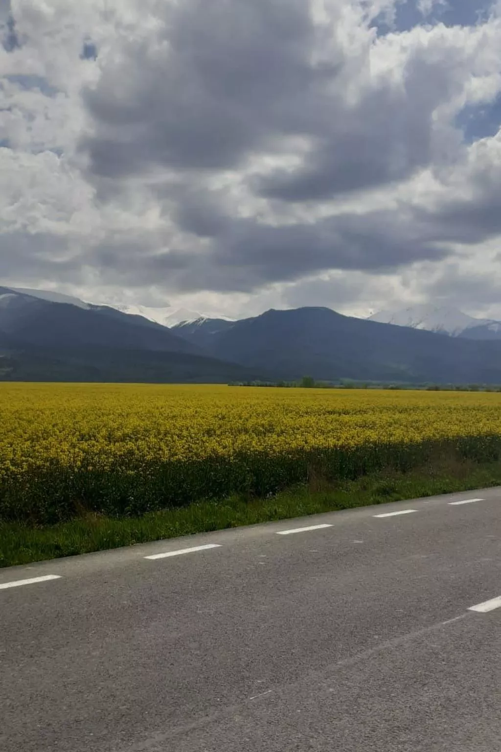 Vila Roberta Breaza Brasov - Buiten