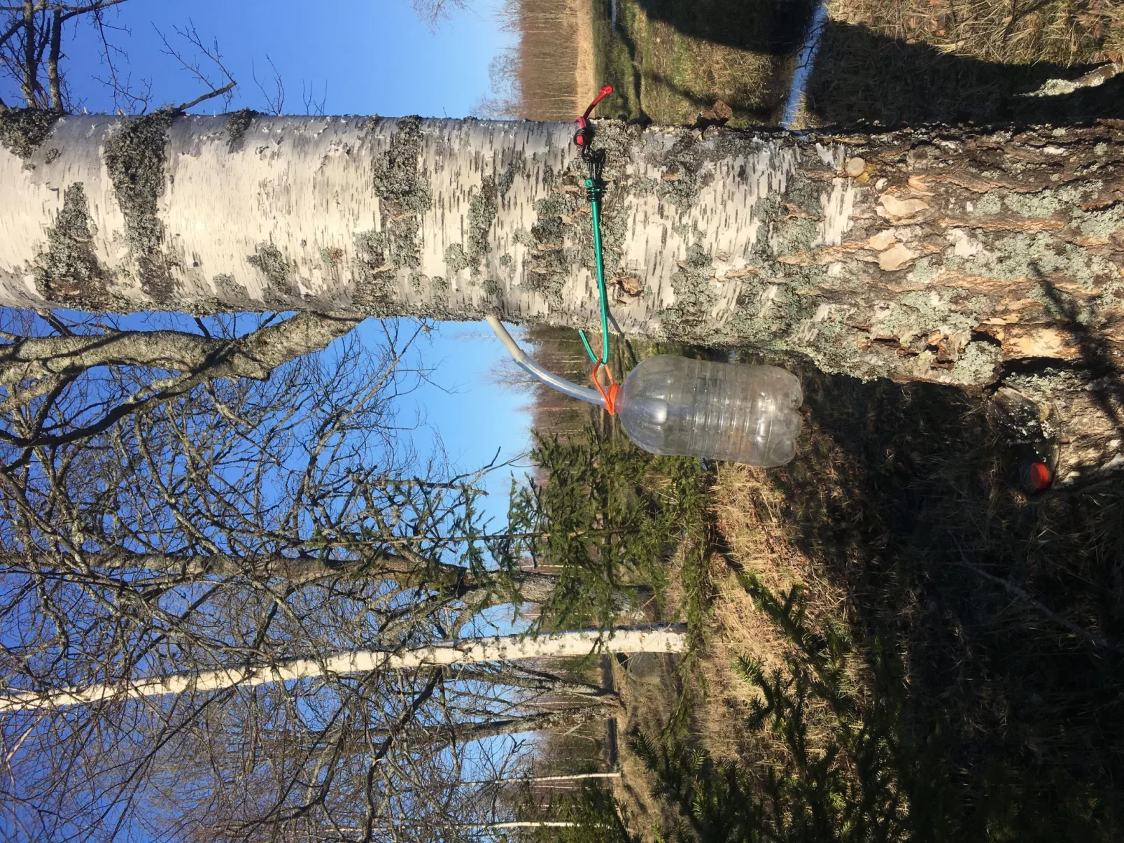 Retreat House - Buiten