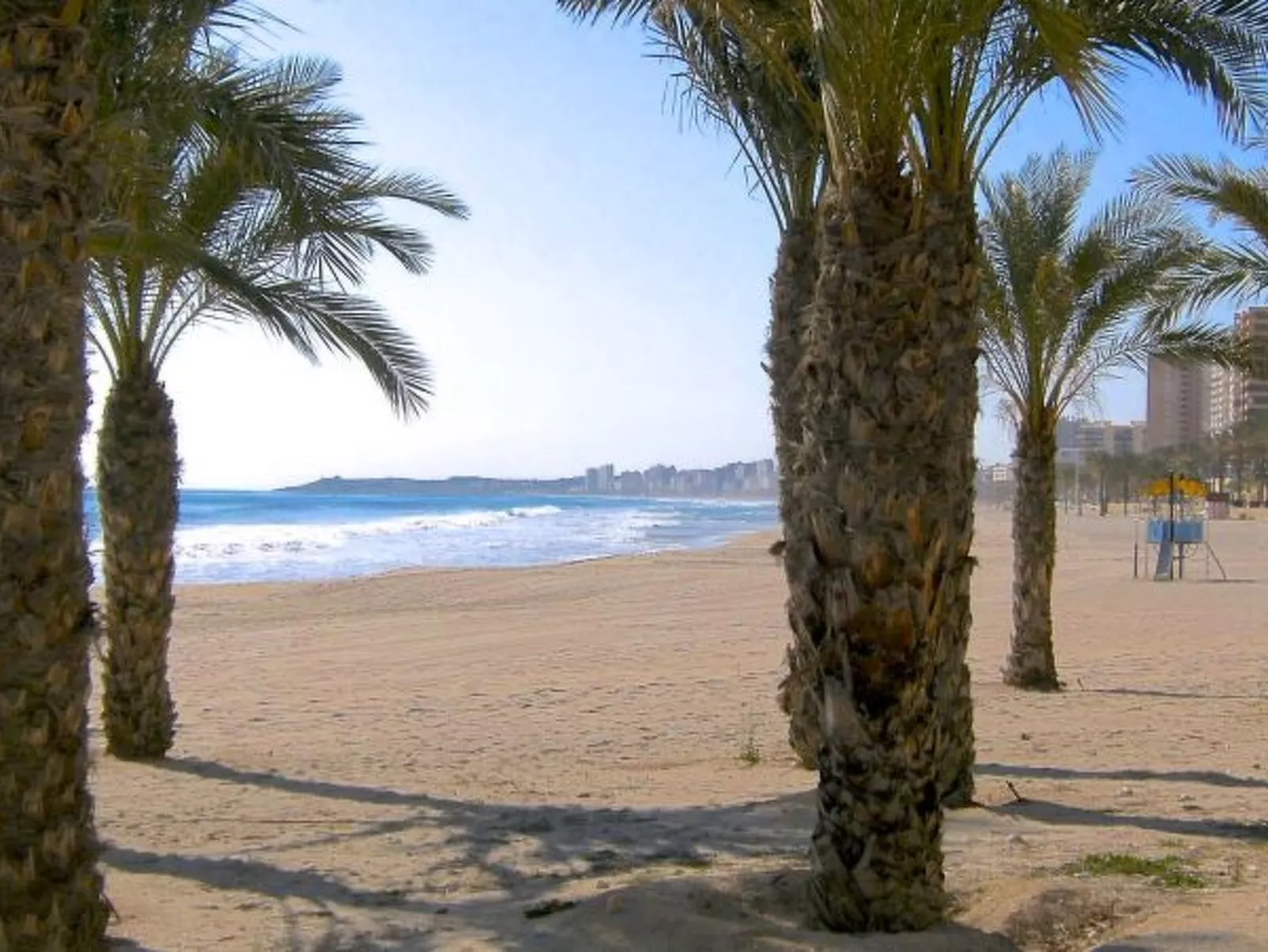 ESTUDIO PLAYA MUCHAVISTA - Image-tags.info