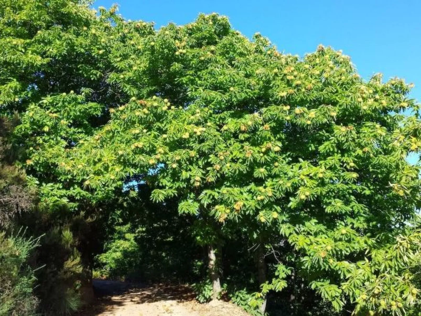 Casa la Solana - Image-tags.info