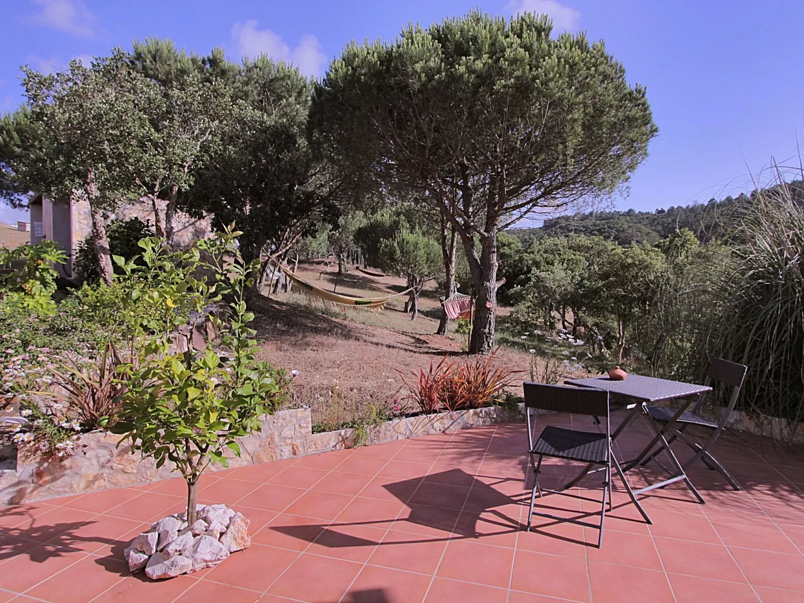 "The Natural Elements" - Buiten