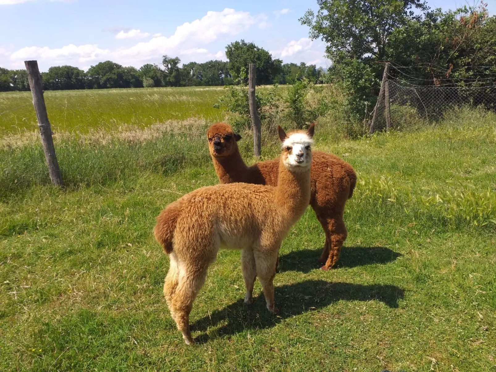 Junior Suite - Buiten