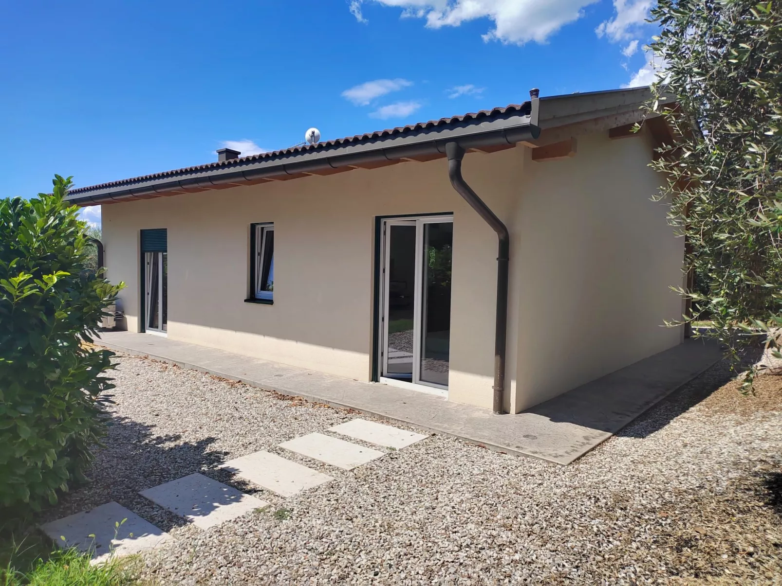 In einem spektakulären Olivenhain in einer ruhig - Image-tags.info