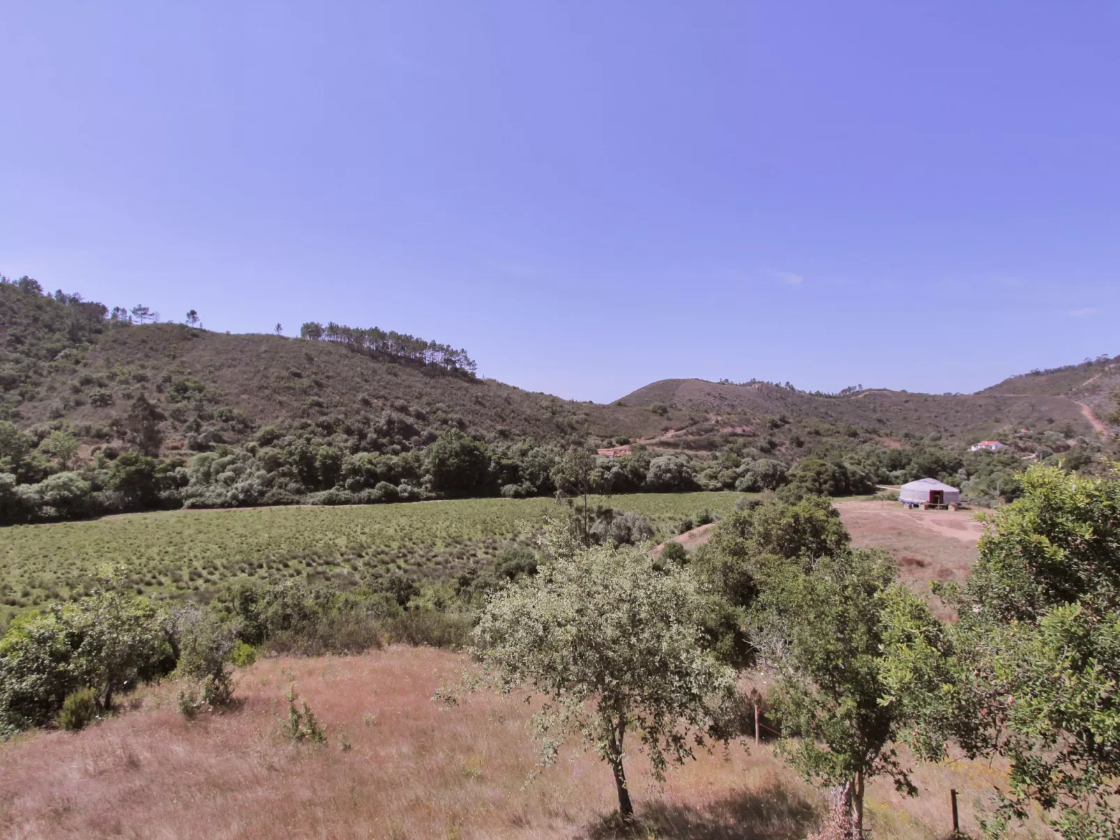 Romantisch und einzigartig "Das Bambus-Apartment" - Buiten