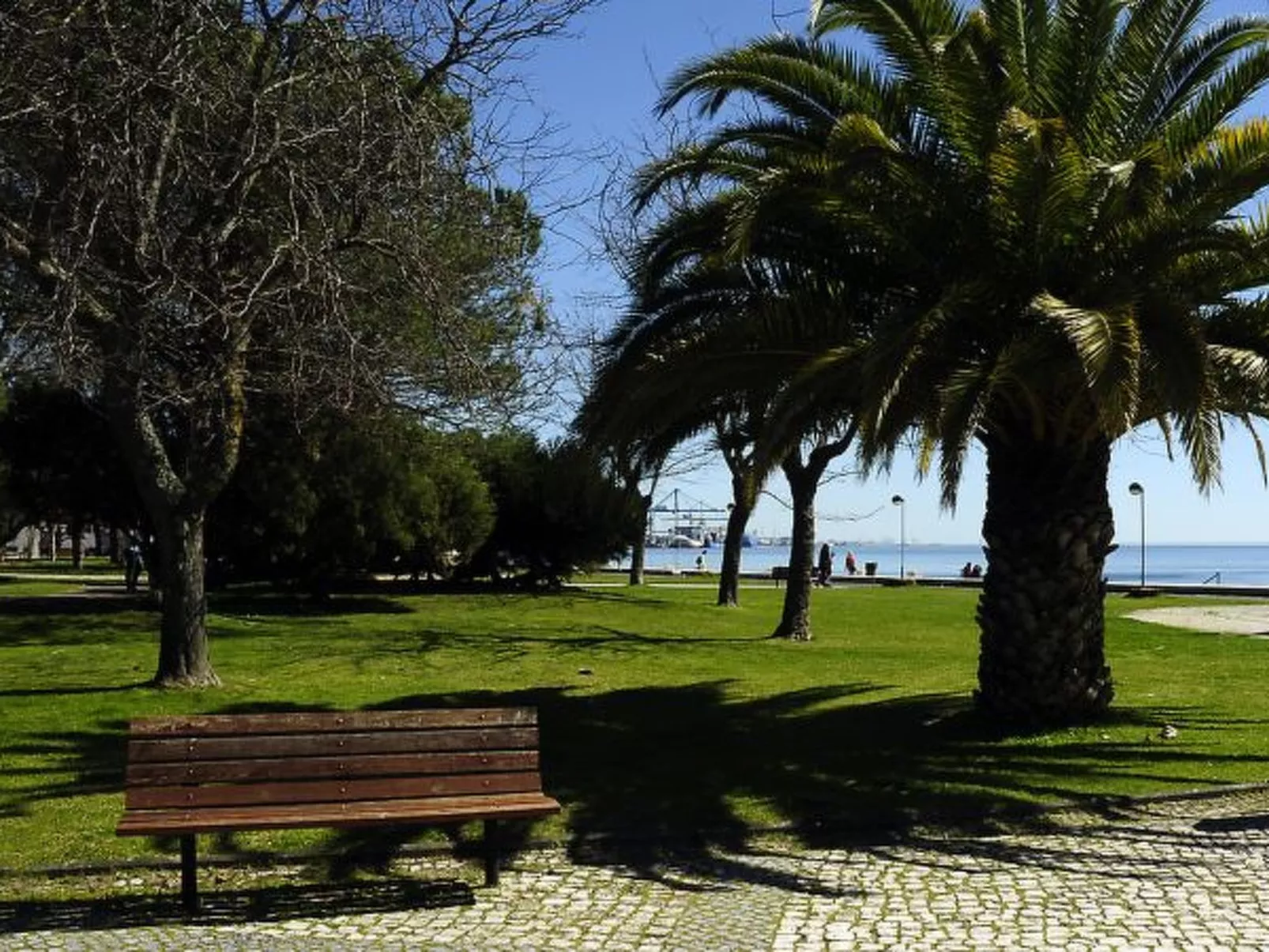 Sado Blue City&River Flats - Coelhos - Buiten