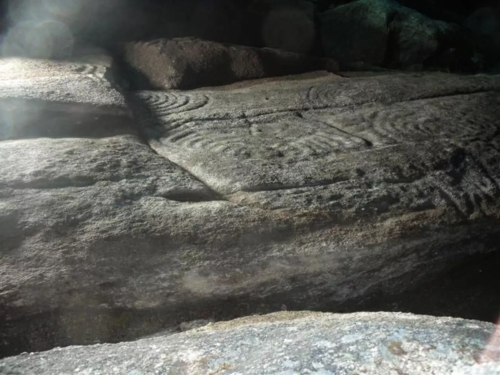 NATUR IN IHRER REINSTEN FORM - Image-tags.info