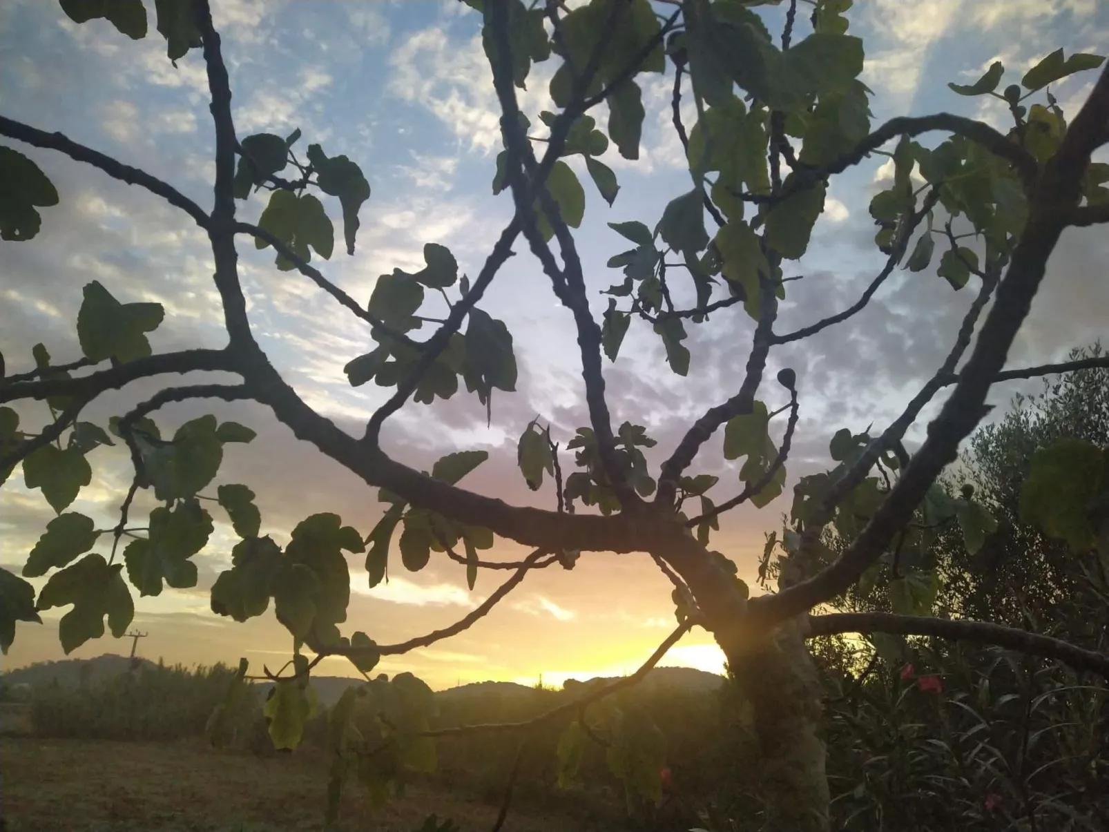 In Manacor mit Privatem Pool - Image-tags.info