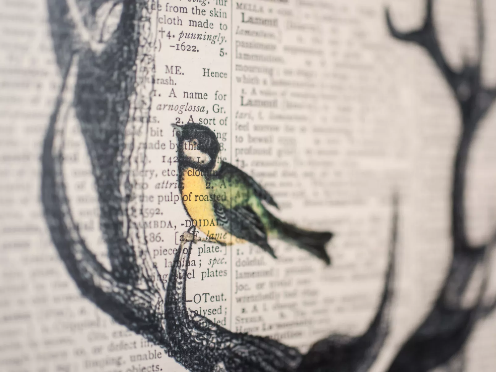 Waters Edge - Buiten