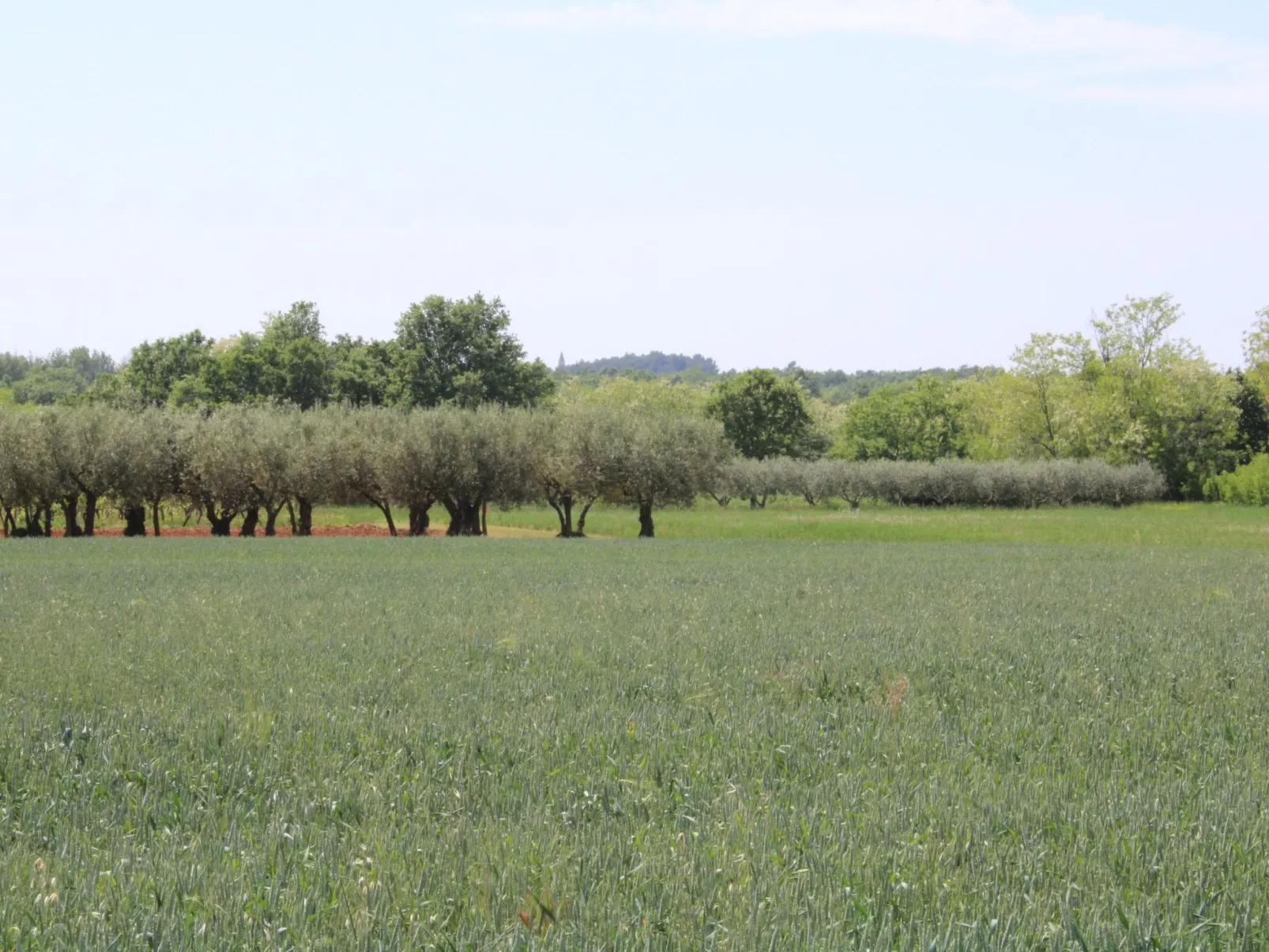 Villa Nel Rosa / HR-11037-01 - Image-tags.info