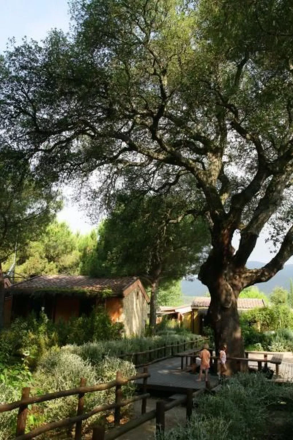 Safari-Lodge-Zelt in Castiglione della Pescaia - Image-tags.info