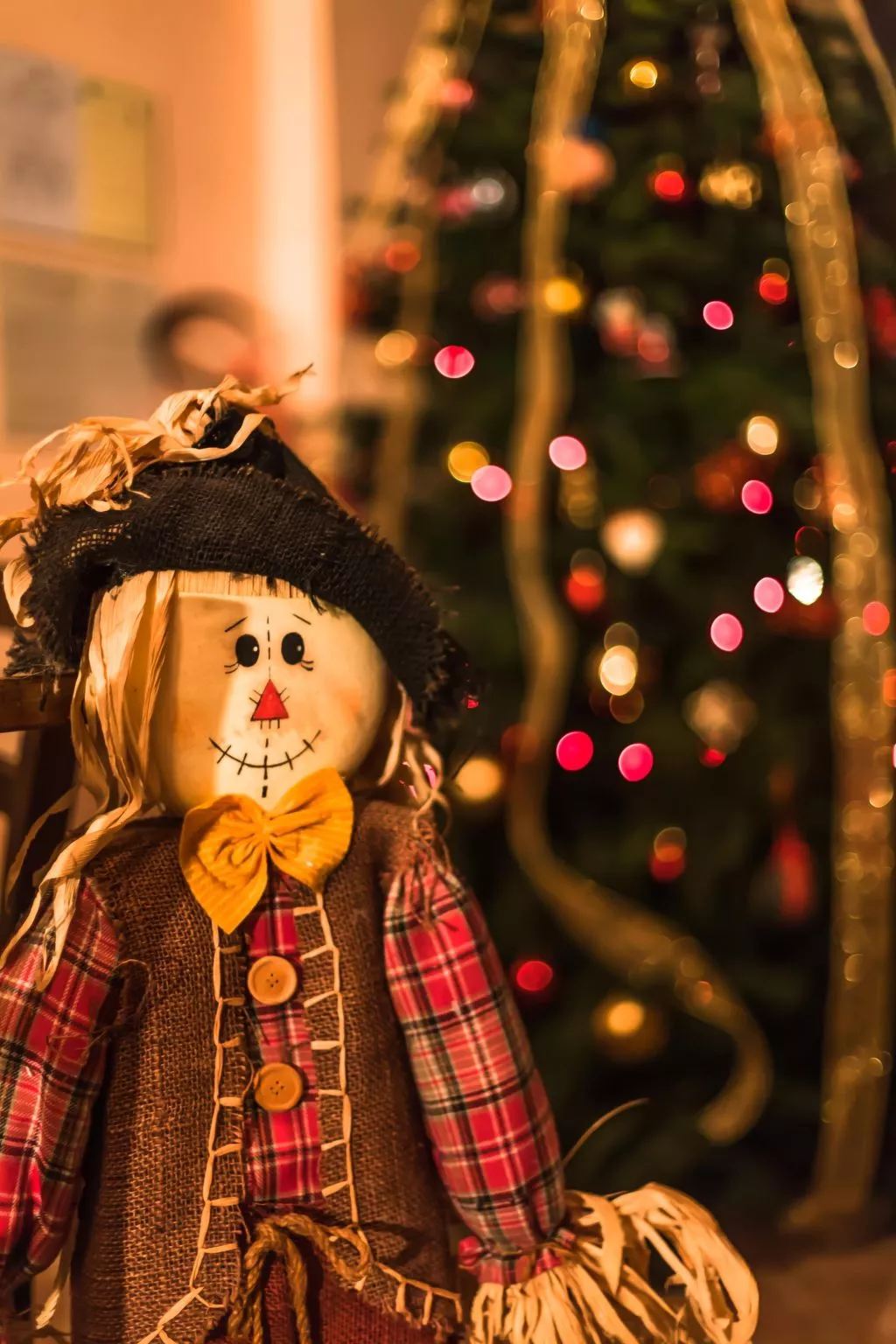 Wohnung "Veronica" auf einem Bauernhof - Binnen