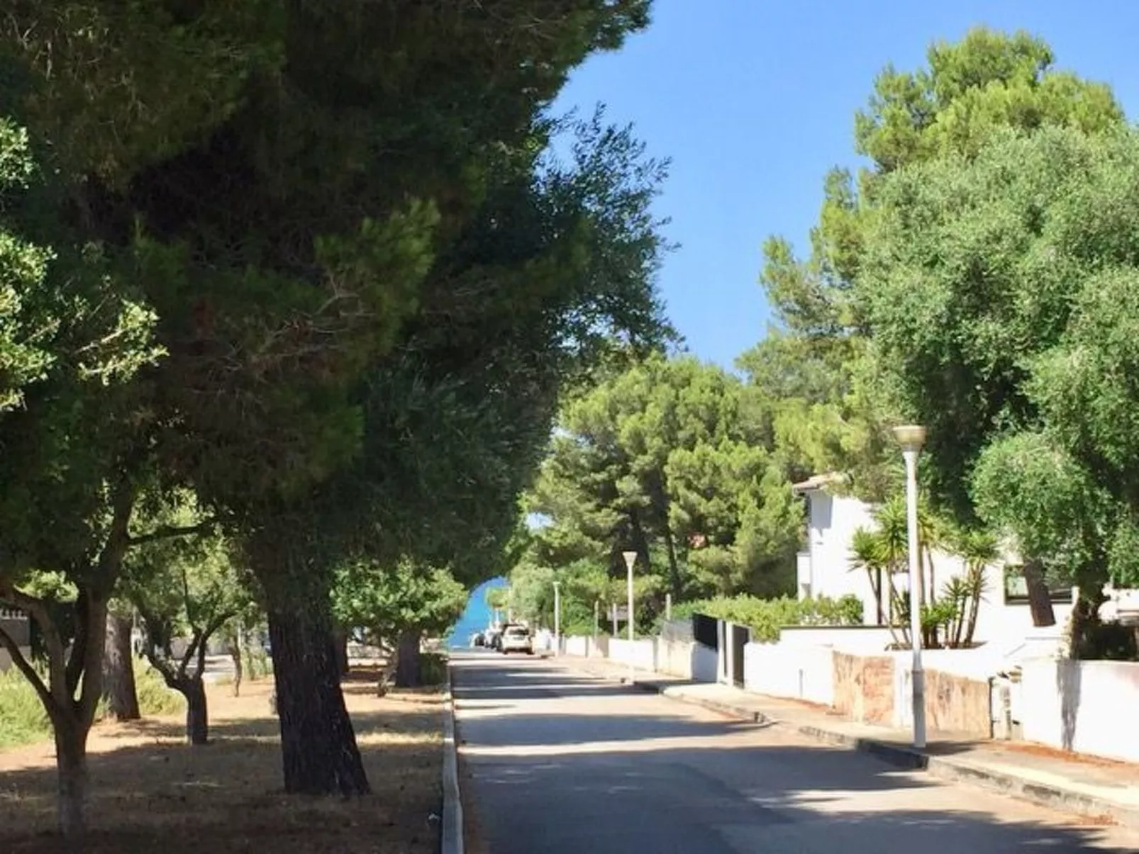 Strandvilla Beach and Ocean in Son Serra De Mari - Buiten