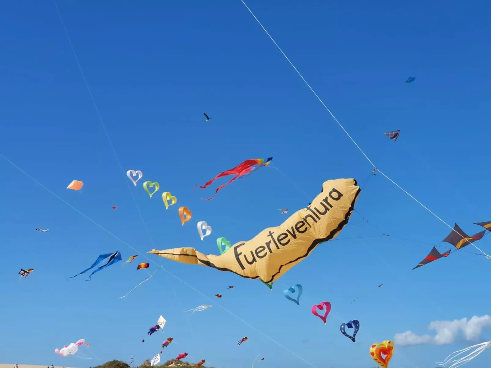 Liebevoll eingerichtetes Apartment Calima Amarilo - Image-tags.info