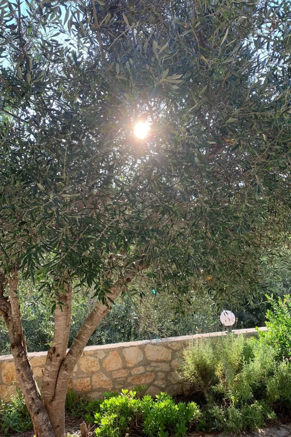 Mit privatem Pool für 6 Personen - Image-tags.info