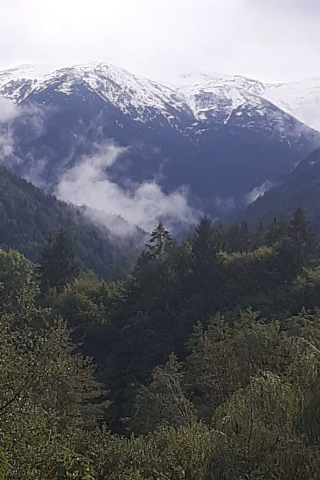 Vila Roberta Breaza Brasov - Buiten