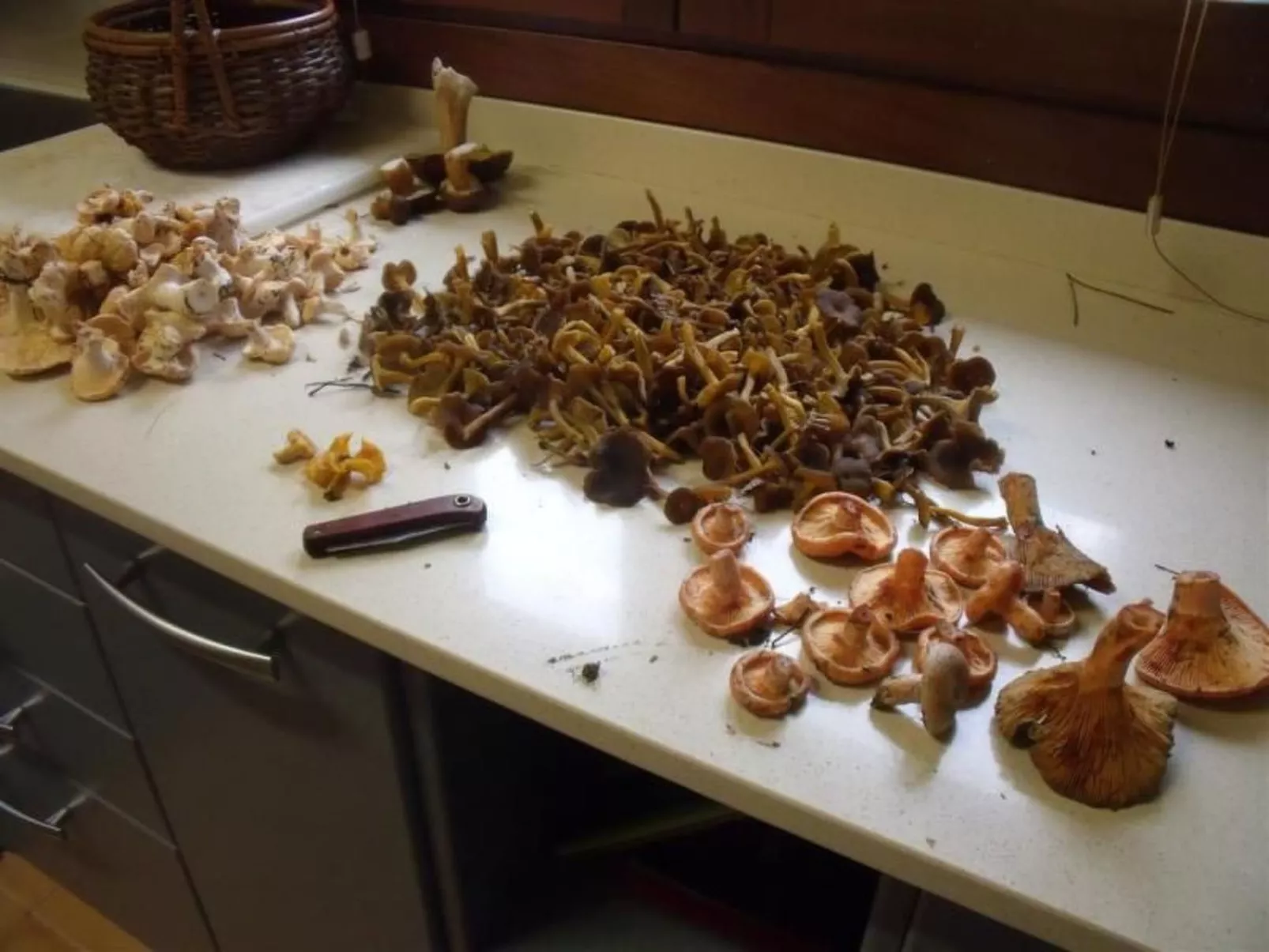 NATUR IN IHRER REINSTEN FORM - Image-tags.info