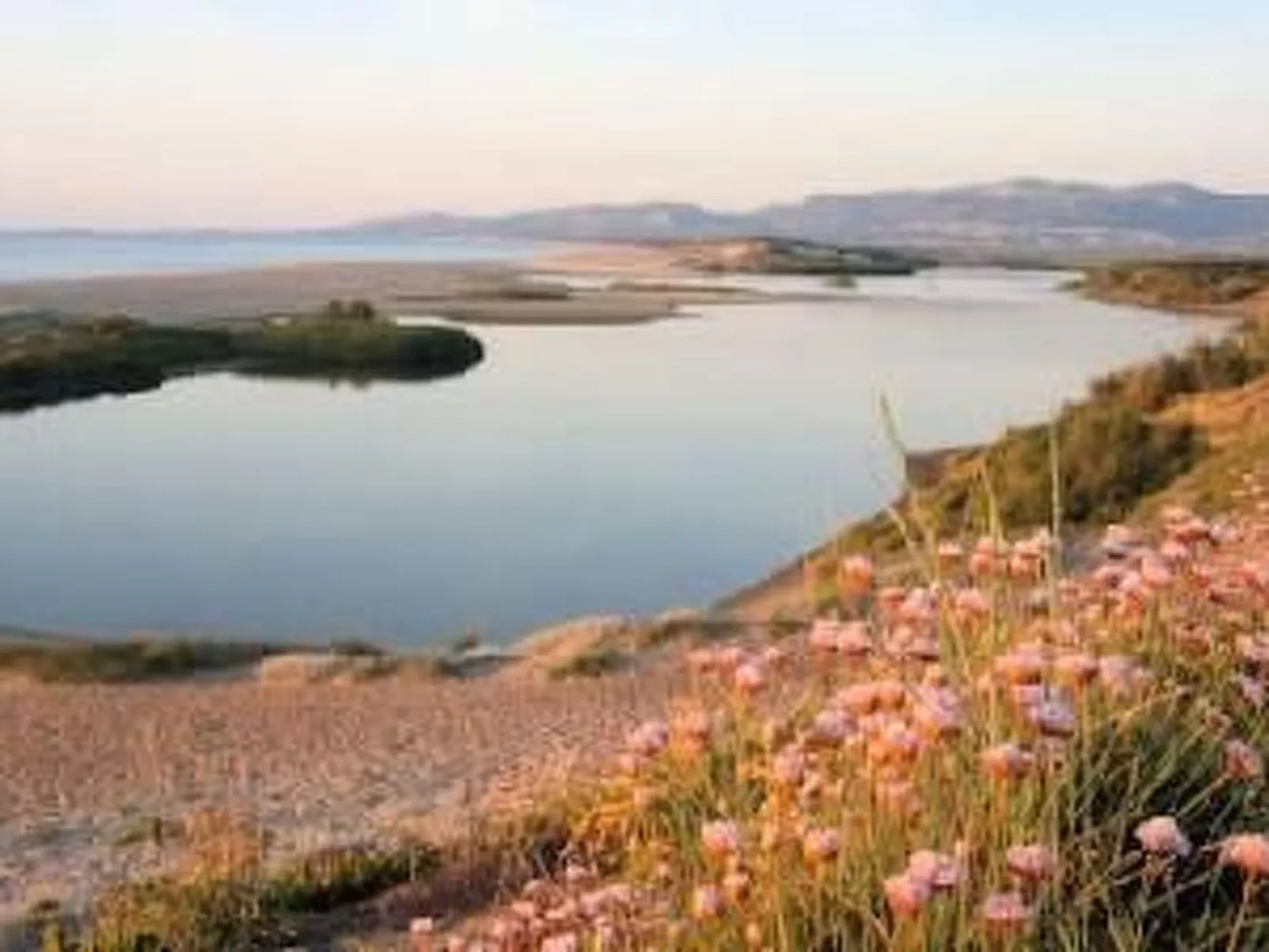 Sa Fiorida Alice II - Buiten